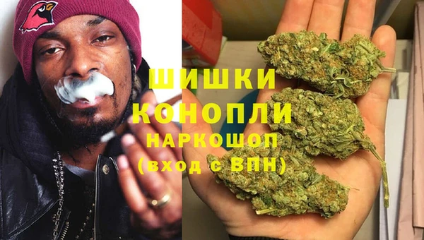 гидра Вязьма