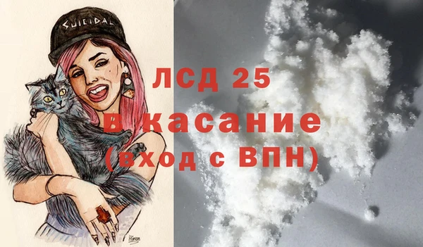 гидра Вязьма
