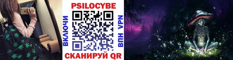 Купить  Кизилюрт  Галлюциногенные грибы GOLDEN TEACHER 